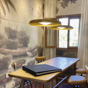 COLGANTE GOTA - Imagen 3